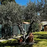 Amplio Y Comodo A 15 Minutos Del Centro Con Piscina Y Pistas De Tenis Prázdninový dům